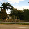 Ye Olde Coffey Grounds