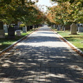 The Road to Sousa