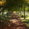 Congressional Cemetery