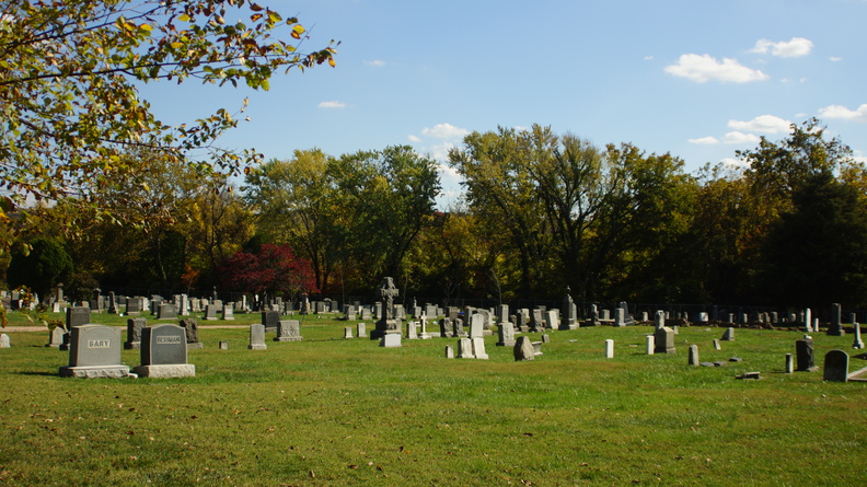 DSC01816.JPG