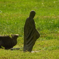 Congressional Cemetery