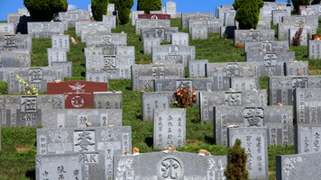 Cypress Hills Cemetery, Brooklyn/Queens