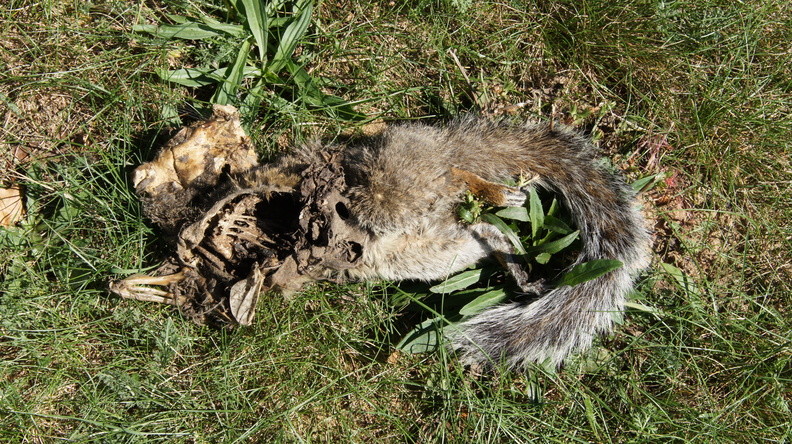 DSC06524.JPG