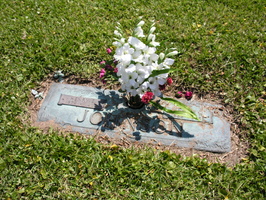 Henry E. Johnson, 1879-1961