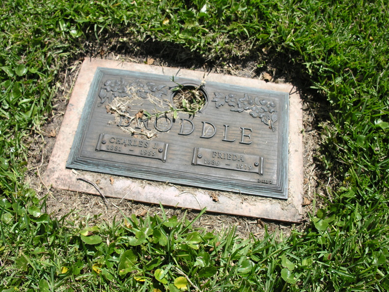 DSCN6387.JPG