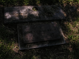 Adele L. Dearstyne, 1914 - . Gene Richard Welch, Dec. 26, 1916 - Jan. 6, 1972. 