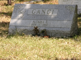 Altaira E. Gangi, 1979 - 1980.