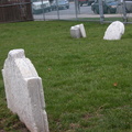 DSCN1727.jpg