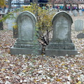 Lydia Lott, Widow of Jeremiah Lott.