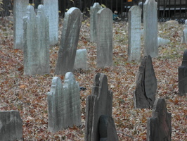 Flatbush Reformed Church Cemetery