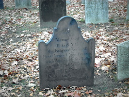 Elsye, Wife of Doct. James I. Van Beuren