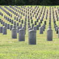 DSCN6475