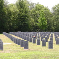 DSCN6476