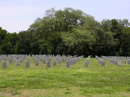 DSCN6479