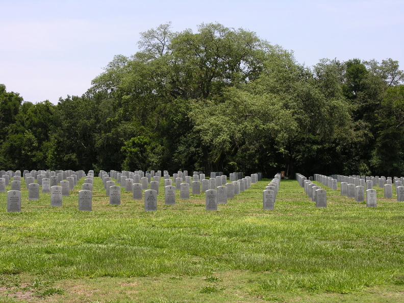 DSCN6479.JPG