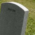 DSCN6488