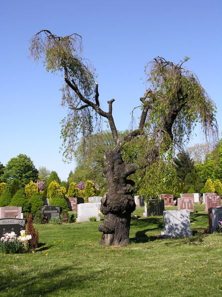 DSCN5855.JPG