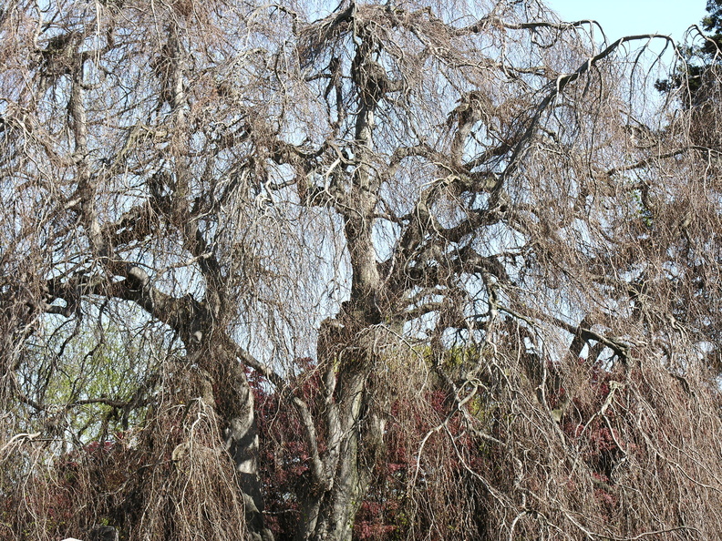DSCN5871.JPG