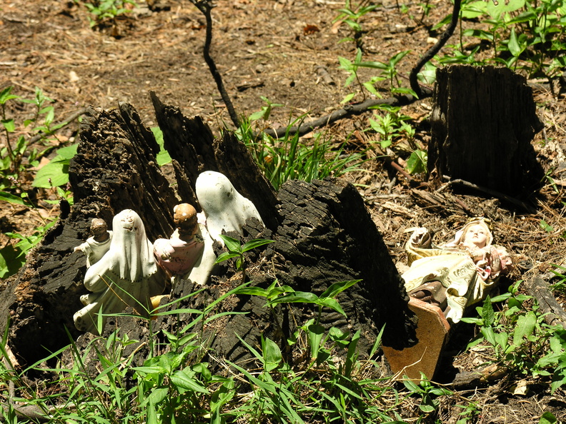 DSCN2463.JPG