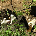DSCN2463.JPG