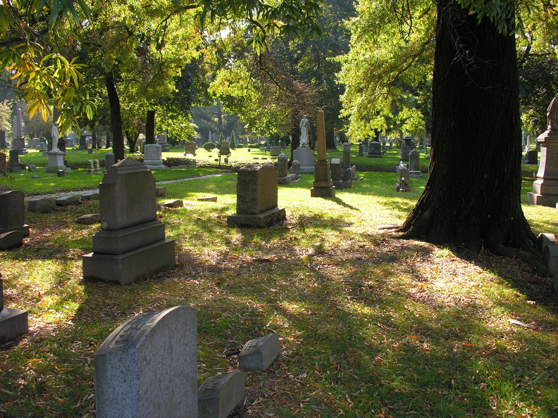 DSCN9594.JPG