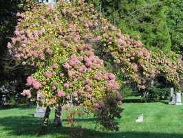 Green-Wood Cemetery, Brooklyn