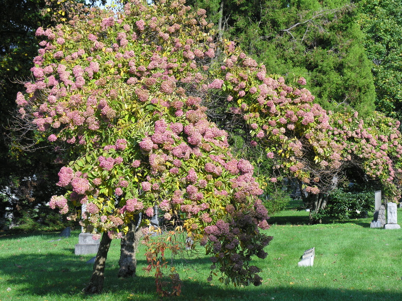 DSCN9595.JPG