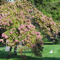 DSCN9595.JPG