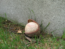 IMG 4140