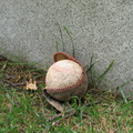 IMG 4140
