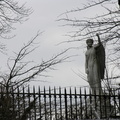 Lawrence Family Cemetery, Astoria