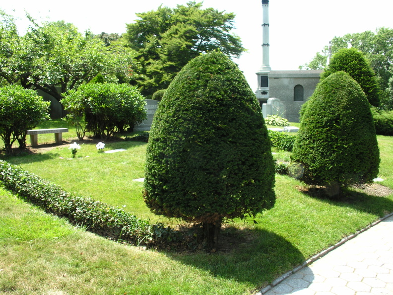 DSCN2567.JPG