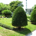Leonard Bernstein Burial Site