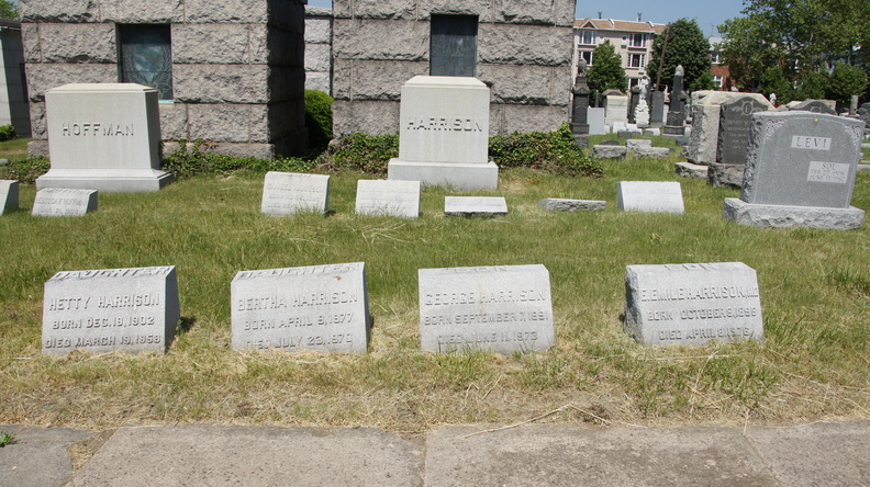 DSC06416.JPG