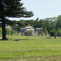 DSC06462.JPG