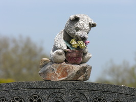 Lutheran All Faiths Cemetery, Middle Village