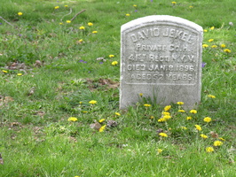 David Jekel