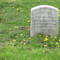 David Jekel
