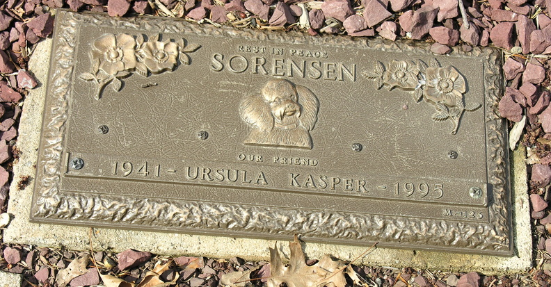DSCN4465.JPG