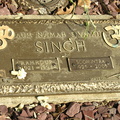 DSCN4469
