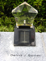 Starlights for the World Trade Center