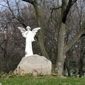 DSCN4553
