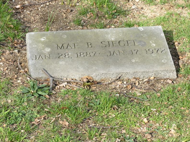 DSCN4563.JPG
