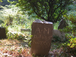 DSCN3114