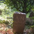 DSCN3114