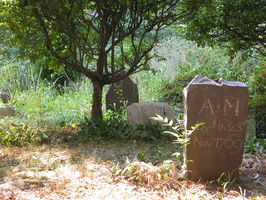 DSCN3124