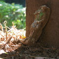 DSCN3139