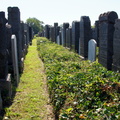 Mount Lebanon Cemetery 