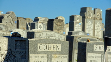 Cohen