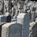 Mount Lebanon Cemetery 